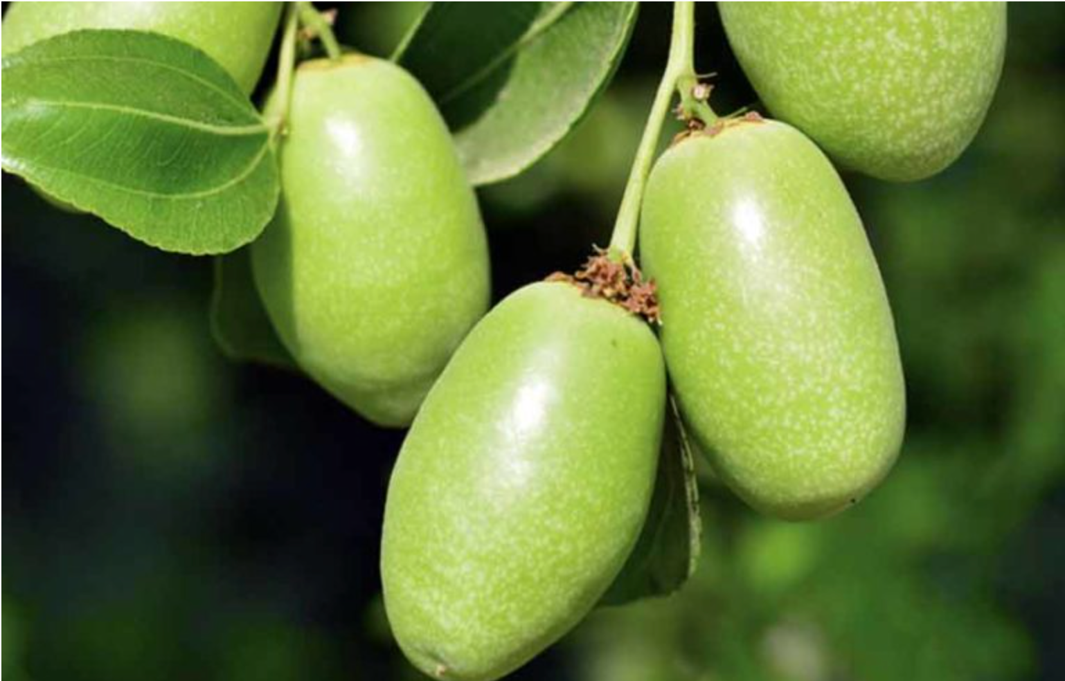 The Haircare Wonder You Didn’t Know You Needed