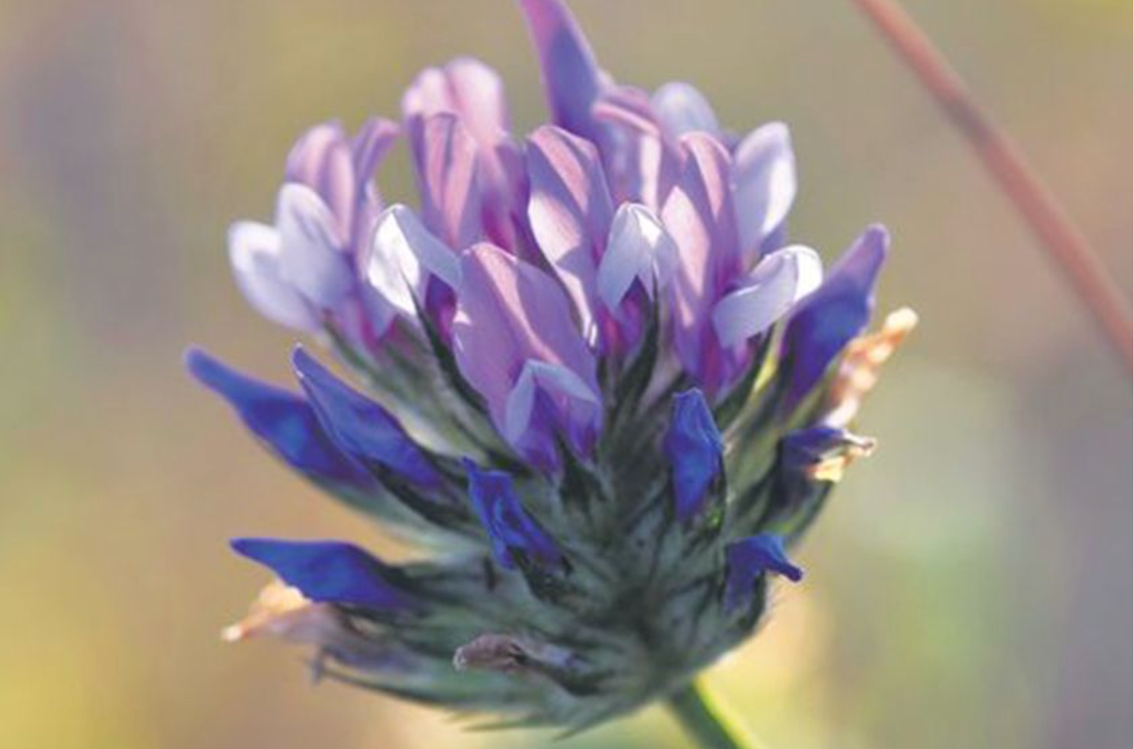 Your Skin Deserves Better Than Retinol