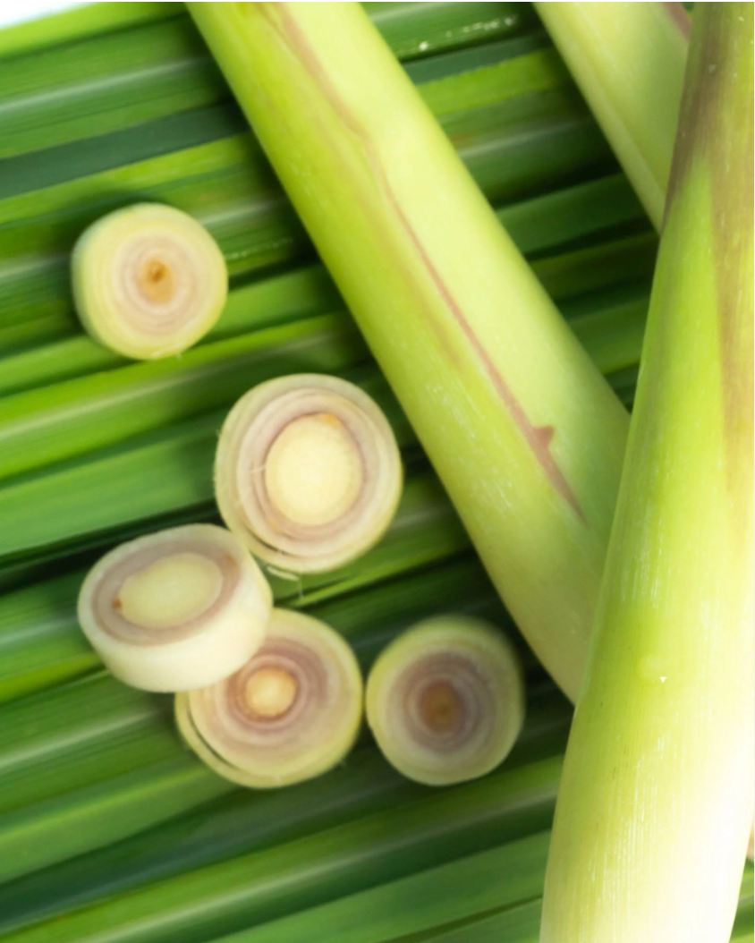 A Detox Solution for Your Skin & Hair